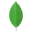 MongoDB